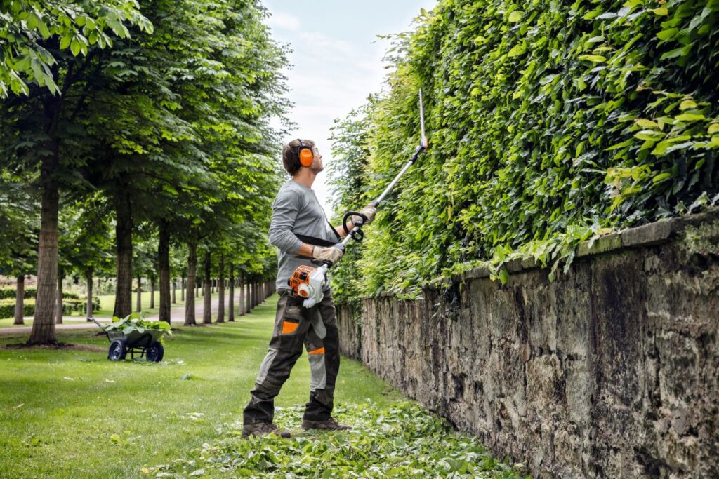 hedge trimming near me