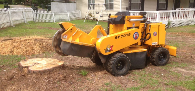 tree root removal