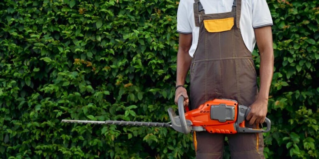 hedge trimming near me