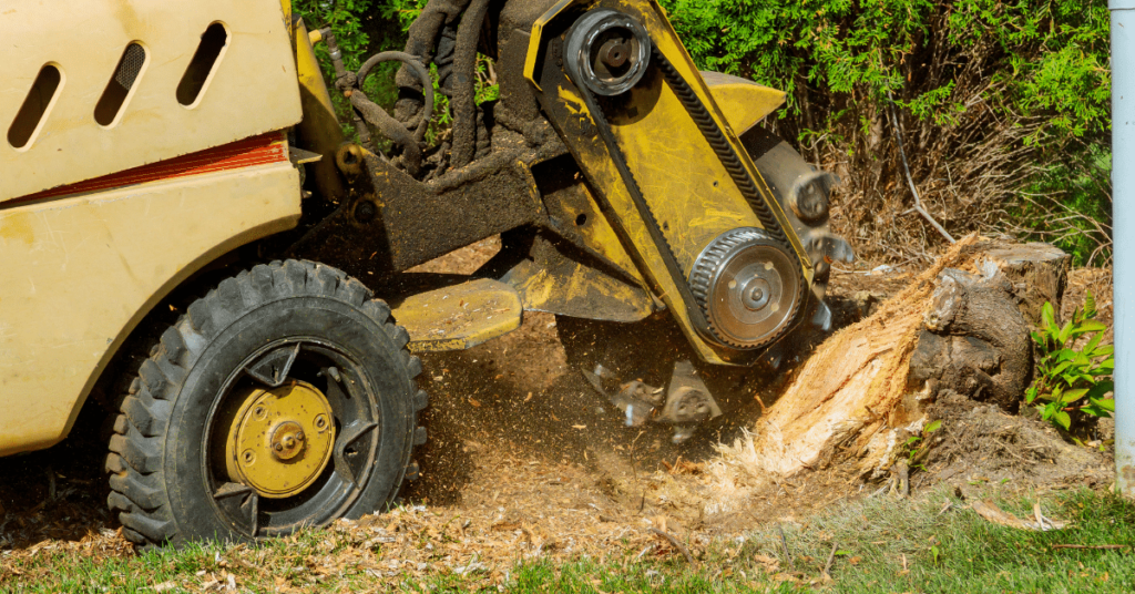 Tree Root Removal Machine: The Best Equipment for Root and Stump Removal