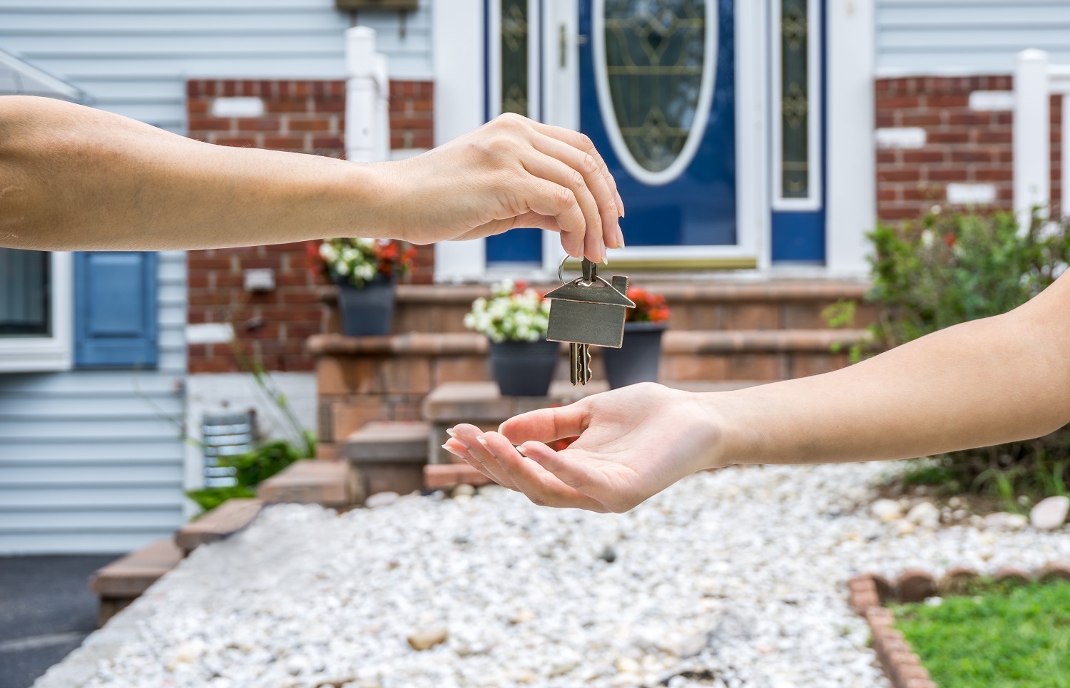 eastern suburbs property buyers agent