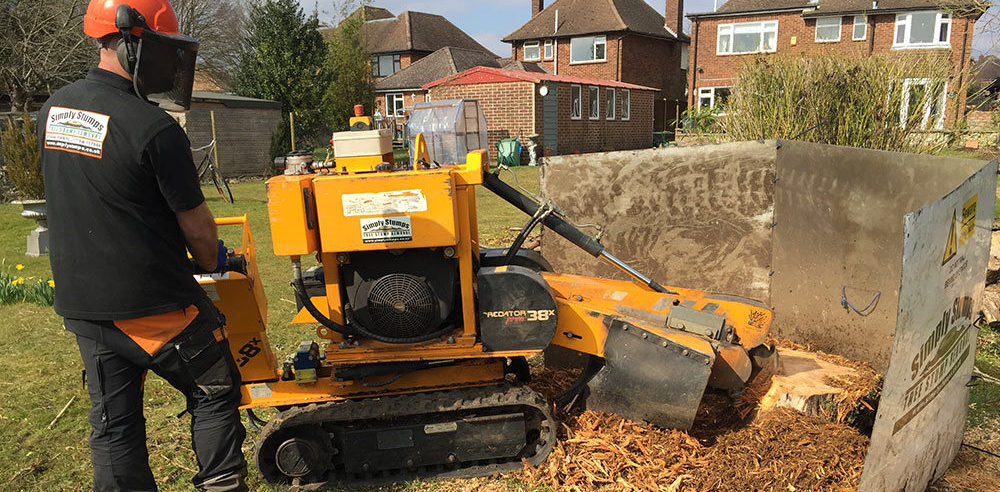 tree stump grinding
