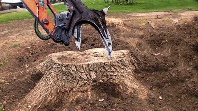 tree stump grinding